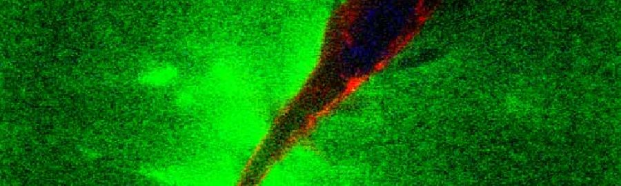 ../../data/UploadFolder/img/img_1_nav_1701.jpg